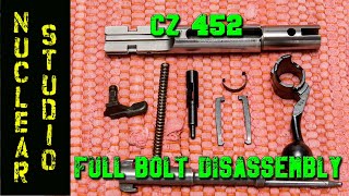 CZ 452  Full bolt disassembly  quotHow toquot Tutorial amp Review [upl. by Bondie290]