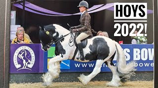 HORSE OF THE YEAR SHOW 2022  Woodhouse supreme at hoys Team Motley equestrian [upl. by Pollyanna447]