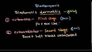 Fungal infection  blastomycosis [upl. by Revlis246]