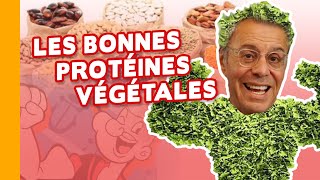 PROTÉINES VÉGÉTALES  COMMENT VIVRE EN MANGEANT DES GRAINES 🌿 [upl. by Filemon831]