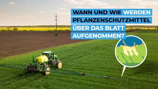 Wann und wie werden Pflanzenschutzmittel über das Blatt aufgenommen [upl. by Kania]