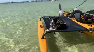 Hobie Adventure Island  Sailing  Destin Florida  AI [upl. by Beore]