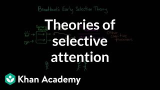 Theories of selective attention  Processing the Environment  MCAT  Khan Academy [upl. by Kitchen882]