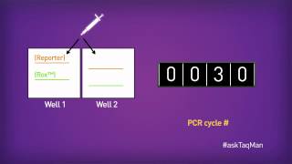 The Purpose of ROX™ in RealTime PCR  Ask TaqMan® Ep 7 [upl. by Atalayah]