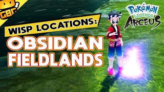 Pokémon Legends Arceus  All Wisp Locations Obsidian Fieldlands [upl. by Ecyrb]