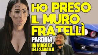 HO PRESO IL MURO FRATELLI  PARODIA [upl. by Atnahsa41]