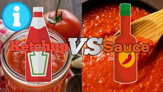 Ketchup VS Sauce  Difference between Ketchup and Sauce [upl. by Dorise641]