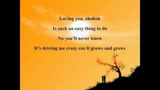 LOVING YOU BY NINA LYRICS [upl. by Celina]