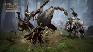 Black Desert Online  Sage Awakening Gameplay [upl. by Tegan507]