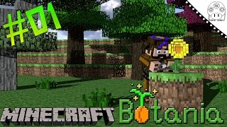 Tutorial Botania 17  Parte 01 Primeiros Passos Guia Completo PTBR [upl. by Carol-Jean533]