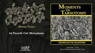 GRANULOCYTIC BLASTOMA quot24 Paneth Cell Metaplasiaquot Official Track 2010 [upl. by Gambell]