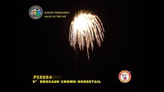 SS125WT05  5 INCH SHELL  WIZARD FIREWORKS  PS5054 [upl. by Ikkaj367]