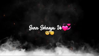 Sohneya Nirvair Paanu Song Status  Sohneya Nirvair Paanu Status  Punjabi New Songs [upl. by Lotsirk161]