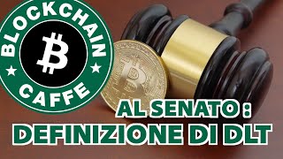 Senato la definizione di DLT  Blockchain Caffe [upl. by Esnahc]