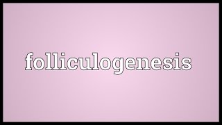 Folliculogenesis Meaning [upl. by Yared]