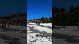 Holbox en el Caribe mexicano [upl. by Ioved]