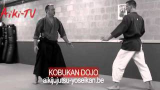 ushiro kata otoshi on omote yokomen uchi [upl. by Nimajnab]