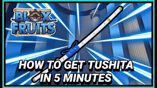 How To Get Tushita Under 3 Minutes  Blox Fruit Tushita Puzzle [upl. by Animaj486]