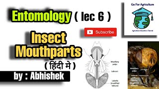 Insect mouthparts  Its type and classification  Entomology lec 6  Go For Agriculture [upl. by Orlene27]