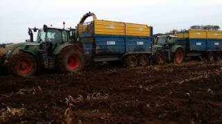 Grassmen muckfever McKelvey Bros Ballynahinch [upl. by Nanor902]