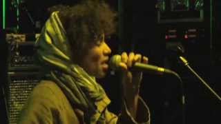 Nneka Live  Sziget 2013 Full Concert [upl. by Nonie309]