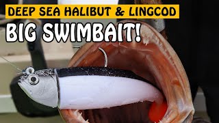 Deep Sea Fishing for Halibut and Lingcod with BIG SWIMBAITS  Fishing with Rod [upl. by Lucinda]