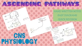 Ascending Pathways  1  CNS  Physiology [upl. by Billmyre700]