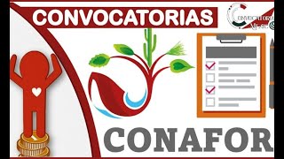 Convocatorias Comisión Nacional Forestal CONAFOR 20212022  Objetivos del APOYO  Requisitos [upl. by Klenk]