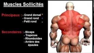 Exercice musculation Dos  quot Traction pronation quot [upl. by Hairakcaz]