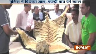 Four Held for Smuggling Tiger Skin in Maharashtra [upl. by Alejna514]