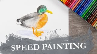 CRETACOLOR  Speed Painting  DUCK [upl. by Pavyer723]