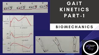 GAIT KINETICS  Part 1 Gait BiomechanicsPhysiotherapy Tutorial [upl. by Nyasuh]