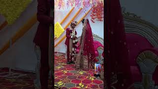 bhai ki shaadi ki short video [upl. by Ahsiekat]