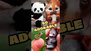 quotTop 5 Cutest Baby Animals You Didnt Know Existedquot [upl. by Kathryne309]