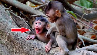 Cute Newborn Baby screaming louder coz hungry milk mum leave him alone [upl. by Ajile]