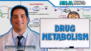 Pharmacokinetics  Drug Metabolism [upl. by Candie229]