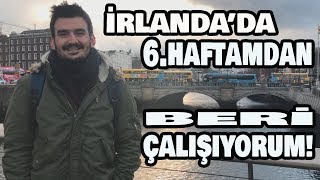 İRLANDA DİL OKULU Öğrenci İzlenimleri  Delfin Dublin [upl. by Olifoet]