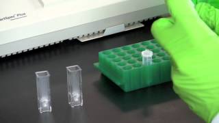 DNA Quantitation Using a Spectrophotometer [upl. by Benildas]