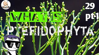 Pteridophytes  Hindi  pteridophytes complete details [upl. by Notsob103]