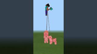 Minecraft Pig FACTS [upl. by Orren26]