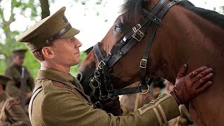 A War Horse Experiences The Battles In France Before Reunite With His Owner [upl. by Carpio774]