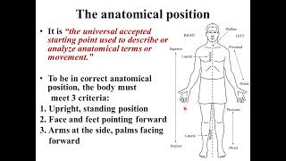 Introduction to anatomy Anatomical planes anatomical terms skin [upl. by Ydnar706]