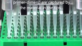 Diffinity RapidTip  Automated PCR Purification [upl. by Aiblis181]