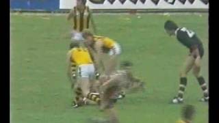 VFL R3 1983  StKilda v Hawthorn [upl. by Notlrak]