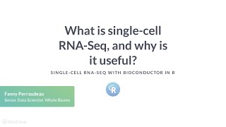 R Tutorial What is Single Cell RNASeq and why is it useful [upl. by Noret]