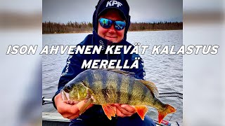 ISON AHVENEN KEVÄT KALASTUS MERELLÄ [upl. by Ttoile118]