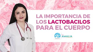 La importancia de los Lactobacilos para el cuerpo [upl. by Suhsoj]