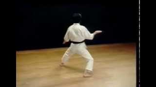 GojushihoDai  Shotokan SKIF  Hirokazu Kanazawa [upl. by Meingoldas]