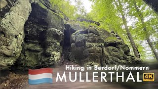 Luxemburg Hiking Tour 2021 MullerthalBerdorfNommern Trail 🇱🇺🥾 Beautiful Landscapes🤩 [upl. by Aenaj813]