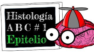 Histología A B C 1 Tejido Epitelial [upl. by Carmelia392]